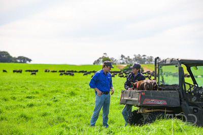 October 2022 / Mt-Shank-221018-7152