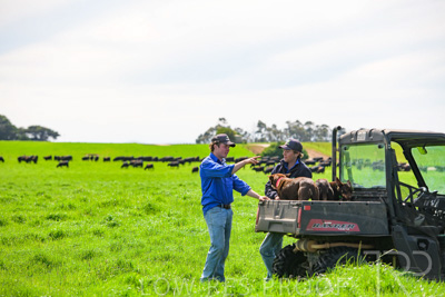 October 2022 / Mt-Shank-221018-7154