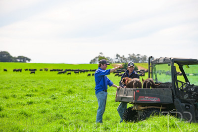 October 2022 / Mt-Shank-221018-7156