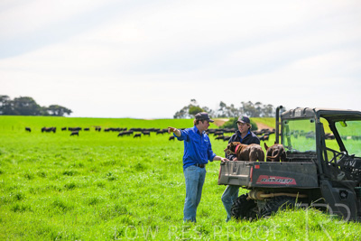 October 2022 / Mt-Shank-221018-7158