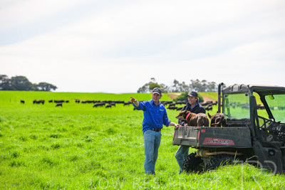 October 2022 / Mt-Shank-221018-7159