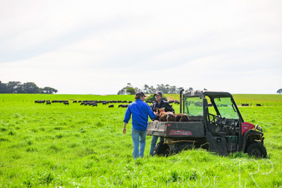 October 2022 / Mt-Shank-221018-7163