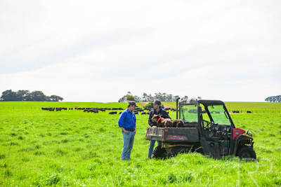 October 2022 / Mt-Shank-221018-7168