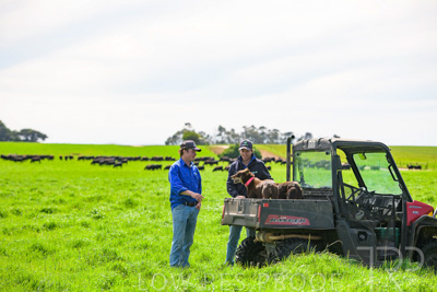 October 2022 / Mt-Shank-221018-7170