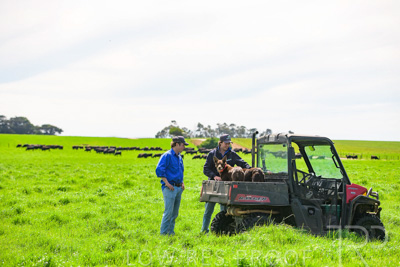 October 2022 / Mt-Shank-221018-7173