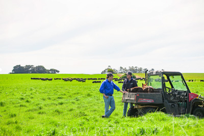 October 2022 / Mt-Shank-221018-7177