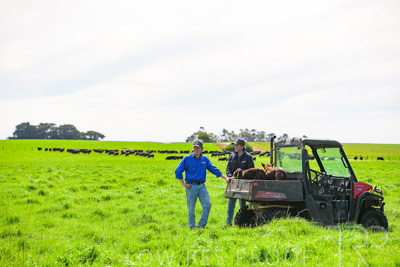 October 2022 / Mt-Shank-221018-7182