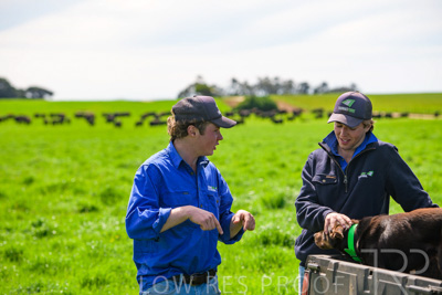 October 2022 / Mt-Shank-221018-7185