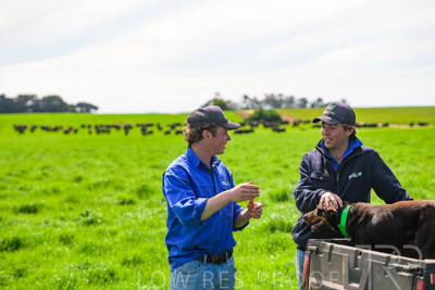 October 2022 / Mt-Shank-221018-7188