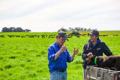 October 2022 / Mt-Shank-221018-7189