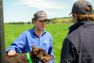 October 2022 / Mt-Shank-221018-7220