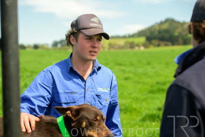 October 2022 / Mt-Shank-221018-7223