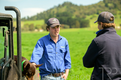 October 2022 / Mt-Shank-221018-7233