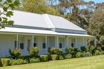 October 2022 / Mt-Shank-221018-7284