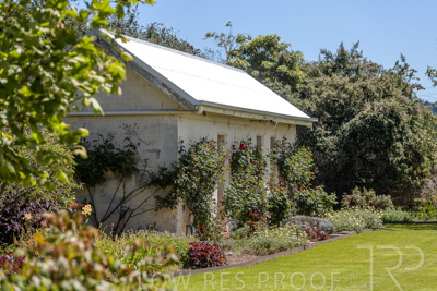 October 2022 / Mt-Shank-221018-7289