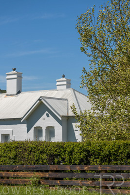 October 2022 / Mt-Shank-221018-7302