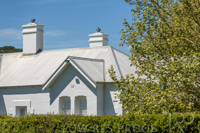 October 2022 / Mt-Shank-221018-7305