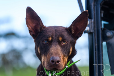 October 2022 / Mt-Shank-221018-7319