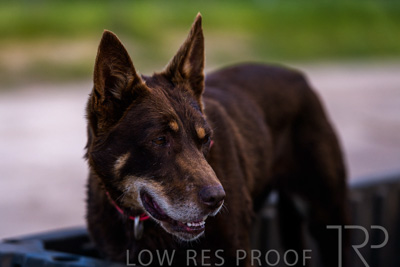 October 2022 / Mt-Shank-221018-7329