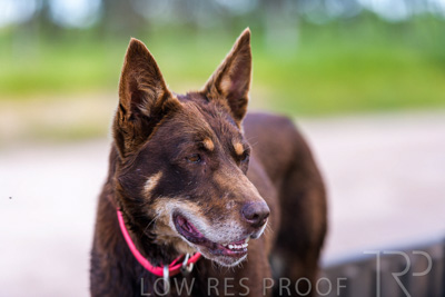 October 2022 / Mt-Shank-221018-7336