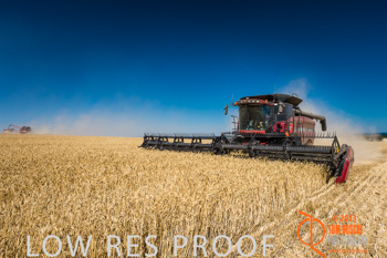 November 2013 / TRP_AB_YP_00010_131118