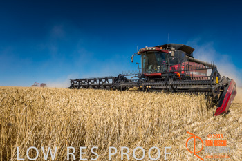 November 2013 / TRP_AB_YP_00013_131118