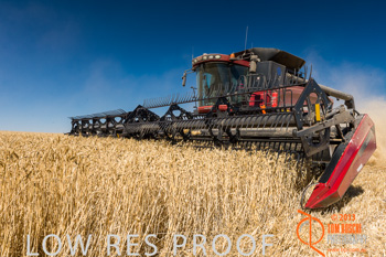 November 2013 / TRP_AB_YP_00014_131118