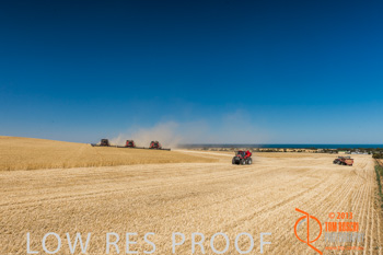 November 2013 / TRP_AB_YP_00019_131118