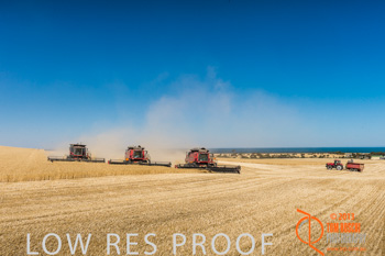 November 2013 / TRP_AB_YP_00025_131118