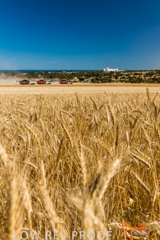 November 2013 / TRP_AB_YP_00028_131118