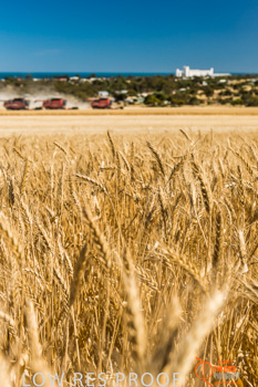 November 2013 / TRP_AB_YP_00029_131118