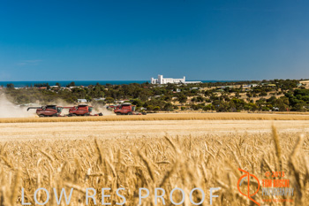 November 2013 / TRP_AB_YP_00030_131118