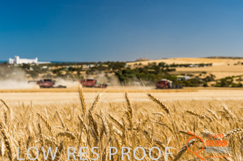 November 2013 / TRP_AB_YP_00036_131118