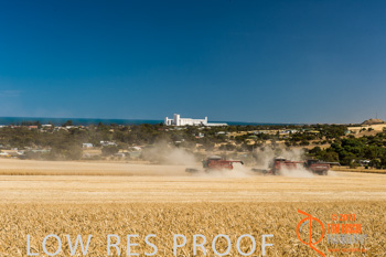 November 2013 / TRP_AB_YP_00037_131118