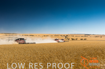 November 2013 / TRP_AB_YP_00055_131118