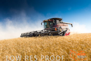 November 2013 / TRP_AB_YP_00059_131118