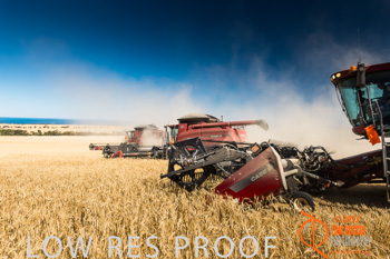 November 2013 / TRP_AB_YP_00061_131118