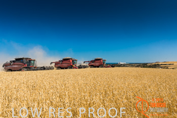 November 2013 / TRP_AB_YP_00074_131118