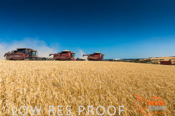 November 2013 / TRP_AB_YP_00075_131118