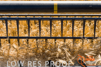 November 2013 / TRP_AB_YP_00096_131118