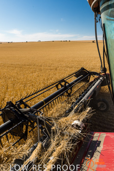 November 2013 / TRP_AB_YP_00099_131118