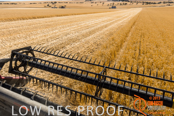 November 2013 / TRP_AB_YP_00101_131118