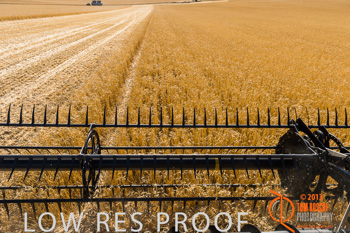 November 2013 / TRP_AB_YP_00102_131118