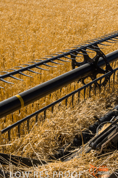 November 2013 / TRP_AB_YP_00105_131118