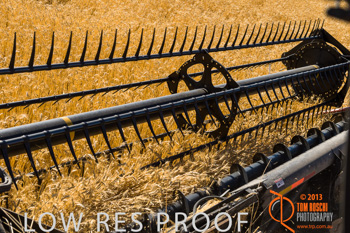 November 2013 / TRP_AB_YP_00106_131118