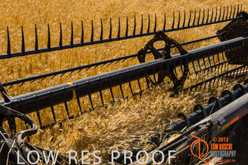 November 2013 / TRP_AB_YP_00108_131118