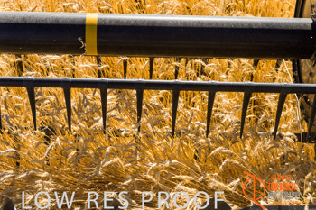 November 2013 / TRP_AB_YP_00110_131118