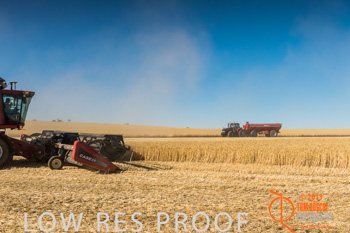 November 2013 / TRP_AB_YP_00118_131118