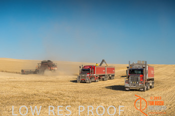 November 2013 / TRP_AB_YP_00120_131118