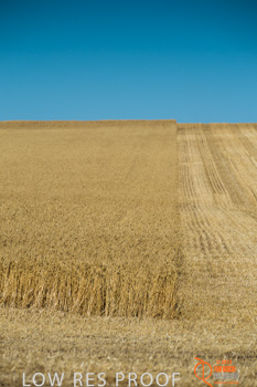 November 2013 / TRP_AB_YP_00124_131118